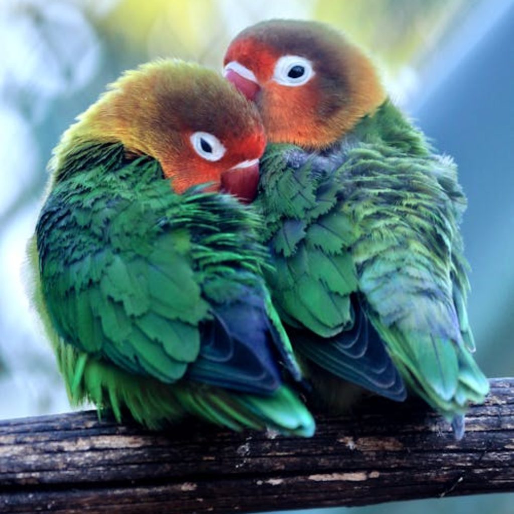 Mua Bán Đất Hòa Xuân Đà Nẵng Khám Phá Thế Giới Cá Cược Đầy Hấp Dẫn