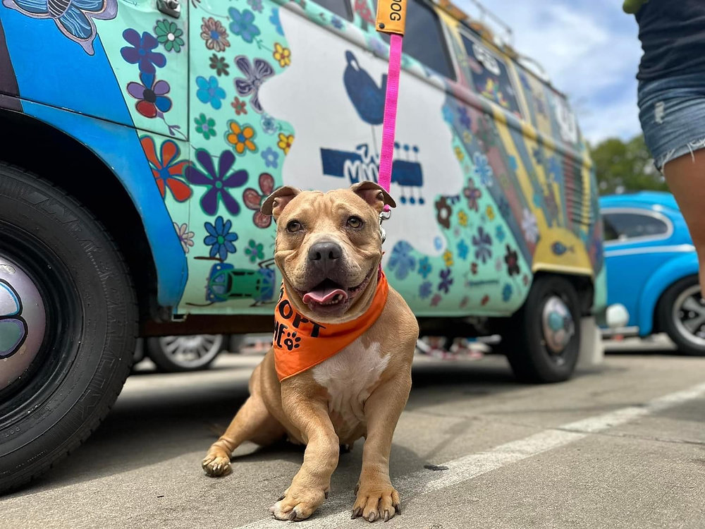 Khám Phá Thế Giới Giải Trí Trực Tuyến Đỉnh Cao Cùng Xe Vespa 50Cc 2025 Hướng Dẫn Và Kinh Nghiệm Chơi