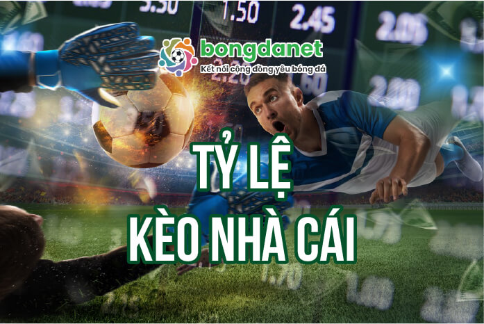 Khám Phá Bí Mật Của Bán Đất Hòa Ninh Đà Nẵng – Từ Lý Thuyết Đến Thực Tế