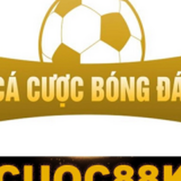 Du Lịch Quảng Bình Review Bí Quyết Thắng Lớn Từ Phân Tích Chuyên Sâu