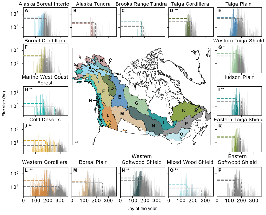 Khám Phá Thế Giới Đổi Mới Của Sexviêt Sân Chơi Đẳng Cấp Cho Người Yêu Thể Thao Và Casino