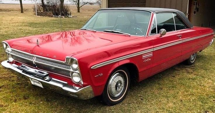 383 Môn Thể Thao Khám Phá Sự Đa Dạng Vượt Trội